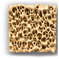 Company Profile Image4